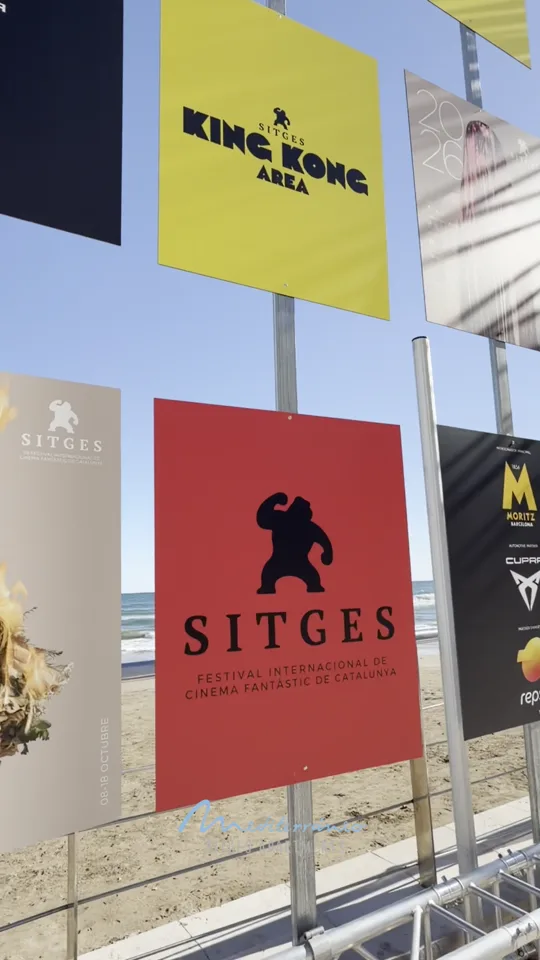 Festival flags facing the sea