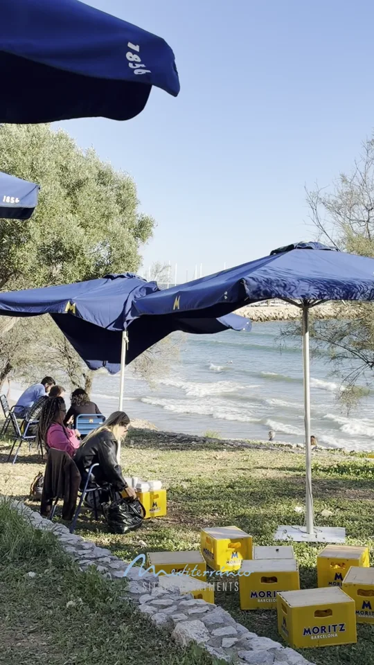 Parasols on the grass above the beach